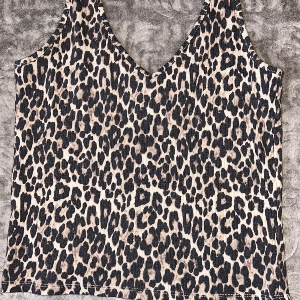 American eagle - Picture 3 of 5